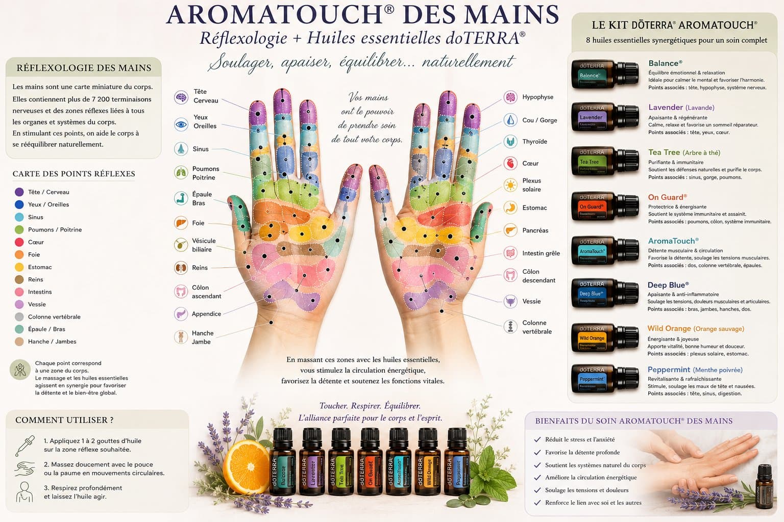 Carte pédagogique des zones réflexes des mains pour l'atelier AromaTouch