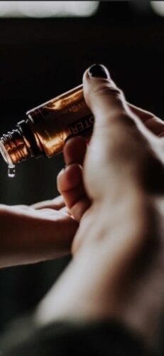 A16C3305 20C0 469D BD73 25A4CE562491 4 5005 C 1 231x500